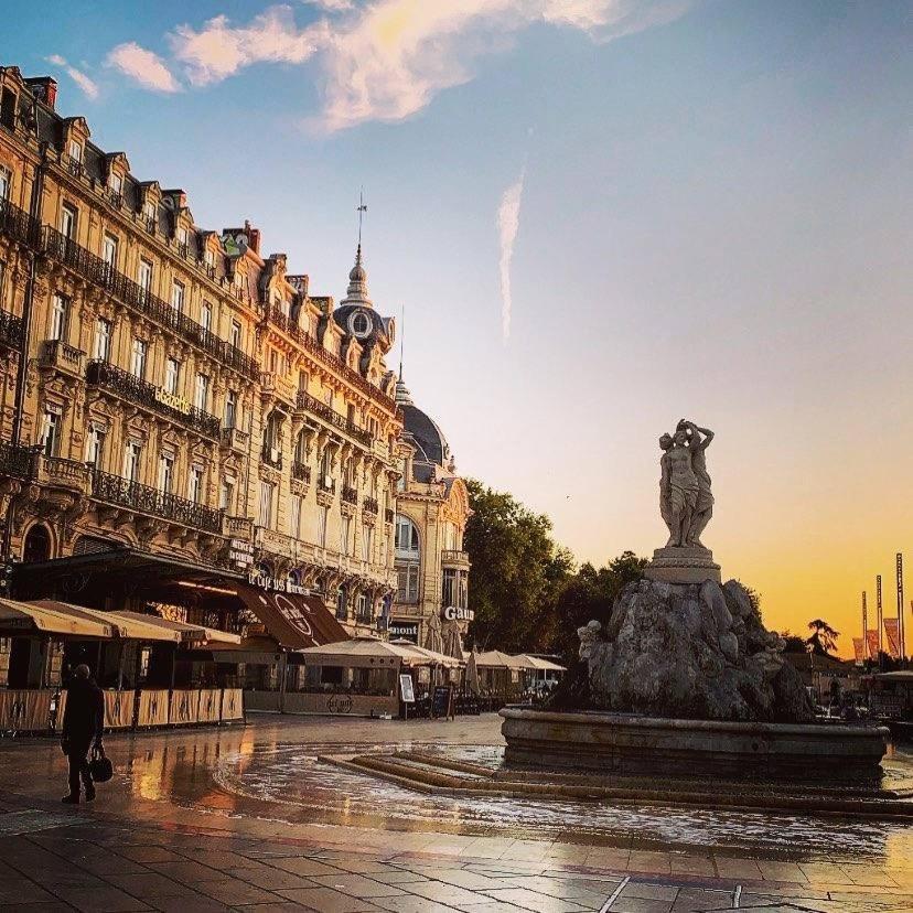Le Havre De Paix Montpellierain - Terrasse Et Parking Prive Appartement Buitenkant foto